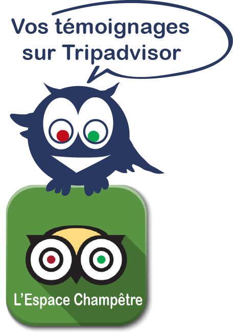 chouette2 Tripadvisor